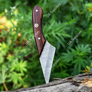 Cuchillo EDC de Hoja Fija de Acero de Damasco, Diseño Nuevo 2026, Mango de Madera, Mini Cuchillo para Caja, Cuchillo de Camping con Funda, OEM/ODM/OBM - Product Image 4