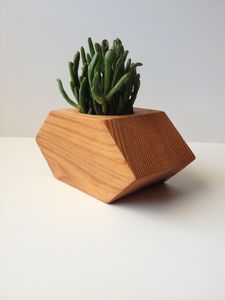 Lot de mini supports de plantes en bois pour table, modernes, faits à la main, écologiques, qualité supérieure, pour Ramadan, mariage, anniversaire, vente en gros à bas prix - Product Image 2