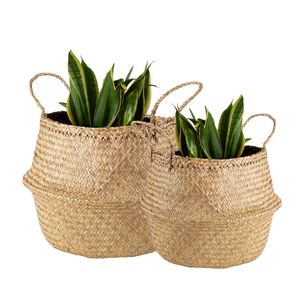 Decorative Handmade PHU HAO Brand Natural STRAW BELLY <b>BASKETS</b> Wicker <b>Basket</b> for Shelves, Plants and <b>Gifts</b> - Product Image 1