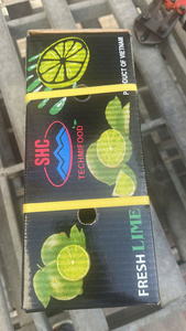 Citron vert frais du Vietnam – Peau vert vif, juteux et aromatique pour la vente en gros - Product Image 2