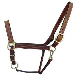 Cabestro para Caballo Estilo Inglés, Producto Ecuestre Más Vendido con Herrajes de Latón, Hecho de Cuero - Product Image 1