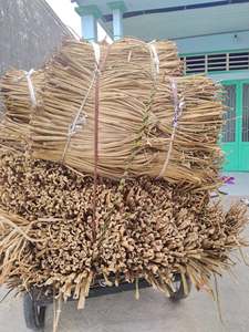 Tallos de Jacinto de Agua Secos de Vietnam, Material de Fibra Natural para la Fabricación de Cestas, Alfombras, Bolsos y Accesorios Rústicos para el Hogar - Product Image 5