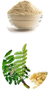 Extrait de Boswellia Serrata AKBA en poudre de qualité supérieure, ingrédient botanique naturel standardisé pour le bien-être et la nutrition - Product Image 4