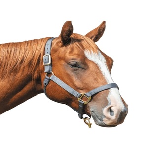 Cuerda de nailon de triple capa resistente en varios colores con accesorios de acero inoxidable niquelado para caballos - Product Image 4