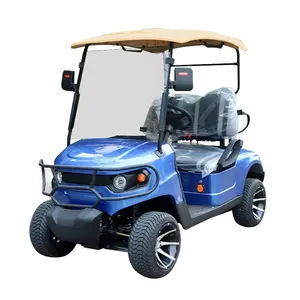 Venta al por mayor Carrito de golf eléctrico con batería de 2 asientos Carrito de golf todoterreno