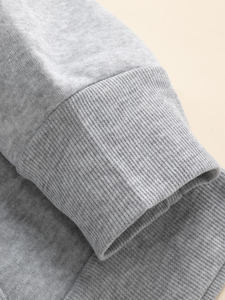 Custom Logo Hooded Men's 100% Cotton French Terry 350g Regular Fit Casual Autumn Wear Heat Transfer Printed Front <b>Back</b> Design - Product Image 3