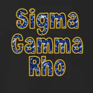 Camiseta Personalizada con Lentejuelas Bordadas de Sigma Gamma Rho, Camiseta Gráfica de Moda para Mujer, Manga Corta, Cuello Redondo, Hermandad Griega - Product Image 3