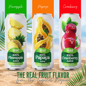 Premium Pure 100% jugo de papaya 490ml lata fabricante Etiqueta Privada OEM ODM precio al por mayor ISO - Product Image 4