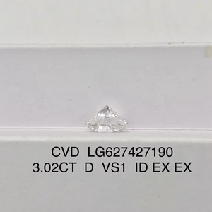 Diamant de laboratoire IGI certifié 3.02CT D VS1 Taille E Couleur Sutariya Brothers en vrac HPHT CVD pour bijoux - Product Image 2