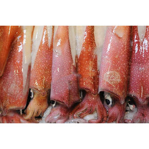 Mejor Precio Calamar Congelado Premium Disponible a Granel Ideal para Proveedores y Mayoristas de Mariscos Calamar Congelado Entero - Product Image 4