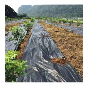 china factory cloth/ground cover sheet/weed control black pp fabric weed barrier grass control fabric Ground Cover with Holes