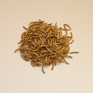<span class=keywords><strong>Ranova</strong></span> Proteinreiche Getrocknete Mehlwürmer für Vögel - Vogel-Leckerlis mit Verdauungsfördernden Vorteilen, Ohne Künstliche Farbstoffe und Aromen - Product Image 4