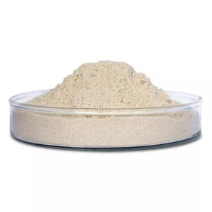 Enzima proteasa alcalina de grado alimenticio en polvo, enzima industrial de alta actividad para procesamiento de alimentos, hidrólisis de proteínas, suministro a granel - Product Image 1