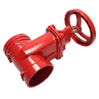 Vanne à opercule à siège souple rainurée NRS DN200 pour protection incendie, Vanne coupe-flamme DN100 PN16