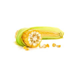 Maíz Amarillo, Alimento para Pollos, Precios de Alimento para Animales y Aves, Maíz Amarillo - Product Image 2