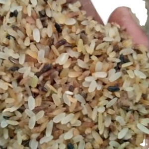 การปฏิเสธข้าวสำหรับอาหารสัตว์จากอินเดีย - Product Image 5