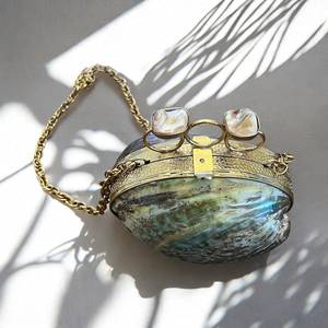 Nouveauté 2024 : Sacs à main en résine design, élégants pour les soirées, le cadeau idéal pour femme, pochette féminine créative, sacs à main ovales pour dames - Product Image 2