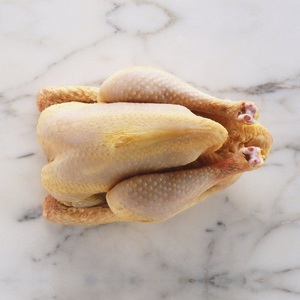 Poulet surgelé nutritif pour restaurants, hôtels et commerces de détail, avec traitement professionnel et prix compétitifs. - Product Image 3