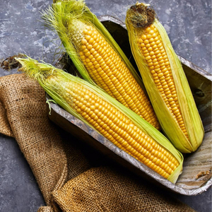 ข้าวโพด GMO ขายดีที่สุด คุณภาพพรีเมียม เกรดอาหาร จำหน่ายส่ง ปริมาณมาก มีสินค้าพร้อมส่ง ผู้ผลิตส่งออก - Product Image 1
