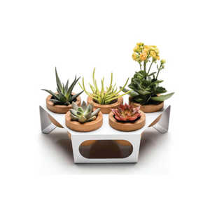 Ensemble de pots à succulentes en bois de style nordique moderne avec support en métal blanc, pot de fleurs décoratif géométrique miniature pour bureau - Product Image 1