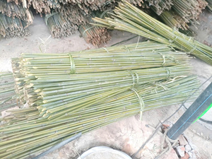 Matériaux en bambou naturel du Vietnam pour la construction, la conception de meubles, les structures extérieures, l'aménagement paysager et l'utilisation décorative - Product Image 2