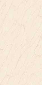 Vente directe usine : Carreaux de sol en granit super poli 600x1200mm pour WC et urinoirs. - Product Image 3