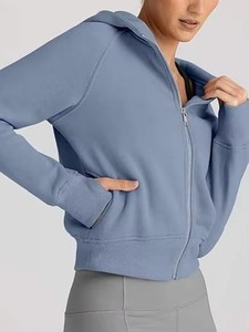 Custom Logo Unisex Hoodie Wholesale 100% Cotton Fleece Pullover OEM/ODM Heavyweight Streetwear Sweatshirt Bulk Supplier - Product Image 2