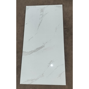 Azulejos de lujo Carra Grey de porcelana 60x120 cm con acabado brillante para paredes y suelos interiores, imitación de piedra con textura minimalista. - Product Image 5