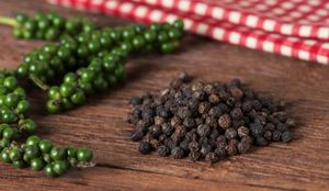 Poudre de poivre noir en vrac à prix d'usine, épice naturelle pour agneau, bœuf, brochettes séchées, viande grillée, fondue et barbecue - Product Image 5