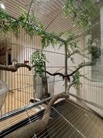 Volière pour Oiseaux et Animaux de Compagnie Haut de Gamme en Alliage d'Aluminium, Grande, Personnalisée, Durable et Anti-Rouille, pour Usage Intérieur et Extérieur