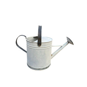 Arrosoir en métal galvanisé blanc antique avec motif libellule en relief, pour plantes d'intérieur et d'extérieur, avec double poignée - Product Image 5