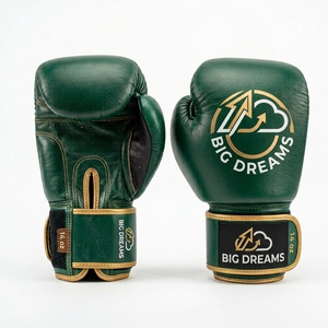 Gants de boxe en cuir Big Dreams 14 oz avec fermeture Velcro pour adultes - Product Image 5