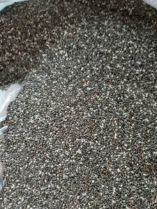 Semillas de Chía Negra Natural para Uso Culinario, Grado de Alta Pureza, Semillas de Chía Crudas a Granel para Fabricantes de Alimentos, Marca 99 Gold Data - Product Image 6