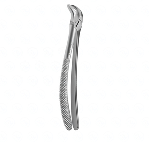 Forceps d'extraction dentaire manuels en acier de classe I, certifiés CE, pour dents supérieures latérales et canines, modèle anglais, instruments chirurgicaux - Product Image 4