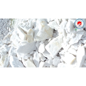 Industrial Grade Calcium Carbonate Powder <b>Coating</b> Filler for <b>Paint</b> and Manufacturing Applications - Product Image 5