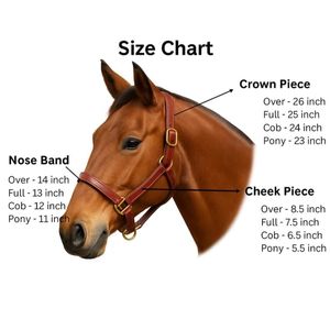Cabestro de Cuero Genuino para Caballo con Corona Acolchada Suave, Ajustable, de Cuero Premium, Acolchado Multicolor, Herrajes de Latón, OEM - Product Image 6