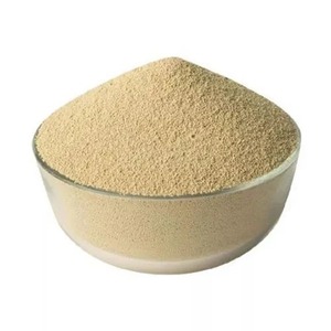 Enzima Xilanasa de Grado Alimenticio en Polvo de Alta Eficiencia 5000-200000 XU/g para Panadería y Procesamiento de Granos, Disponible para la Venta - Product Image 6