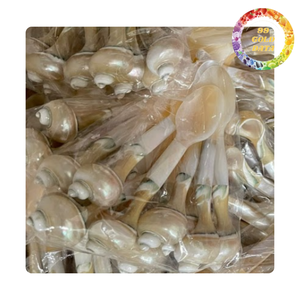 Cuillère élégante en nacre naturelle pour le thé, le café, les desserts et la vaisselle. - Product Image 2