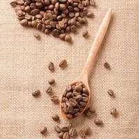 Café en grains torréfiés Robusta S18 du Vietnam, solutions d'emballage professionnelles pour les entreprises d'importation de café