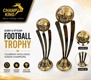 Stainless Steel Sports <b>Trophy</b> <b>Cup</b> Customized Achievement Award Display Durable Premium Quality - Product Image 4