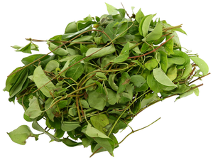 Feuilles de plantes grimpantes congelées du Vietnam pour soupes et ragoûts, IQF, coupées entièrement, 3,5 oz, 7 oz, emballage de vente au détail - Product Image 4