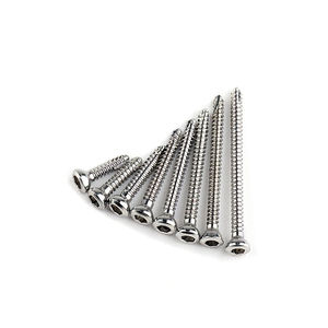 Vis hexagonales en acier inoxydable Dogmatic International pour implants orthopédiques vétérinaires, plaques et instruments chirurgicaux - Product Image 5