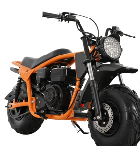 200cc Gas Mini Dirt <b>Bike</b> Fat Tire Off Road Motorcycle for Adults with 4 Stroke <b>Engine</b> Electric Start 200cc Mini Dirt <b>Bike</b> - Product Image 3