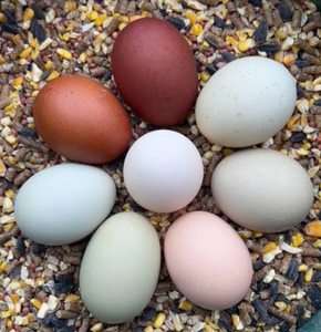 Huevos Frescos de Gallina de Granja, Naturales, Fuente de Proteína de Alta Calidad para un Estilo de Vida Saludable - Product Image 1