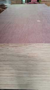 FOMEX GREEN WOOD Madera Contrachapada Comercial Bintangor Okoume Fabricada en Vietnam, Espesor de 5-24 mm - Product Image 3