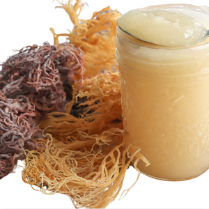 Meilleur Prix : Algues Marines Dorées Brutes Séchées au Soleil (Feuilles Entières) Eucheuma Cottonii – Produit Agricole Vietnamien Sous Vide – Offre Spéciale - Product Image 4