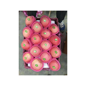 Pommes rouges délicieuses en gros, origine Turquie, en vrac, pommes rouges délicieuses, Gala, Granny, Starking - Product Image 1