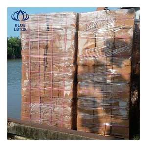 Qualité Fiable : Bloc de Fibres de Coco (Coir) à Faible EC, Fibres Nettoyées et Transformées pour la Culture Hydroponique et l'Amélioration du Sol - Product Image 4