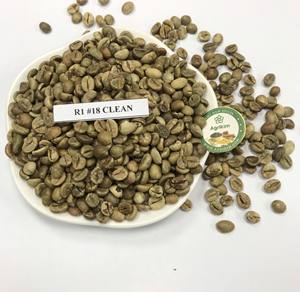 Nouvelle Offre Café Vert Robusta du Vietnam Importé Certifié ISO 22000 12,5% Humidité Maximale Durée de Conservation 2 Ans Approvisionnement en Gros - Product Image 1