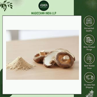 Poudre d'extrait de champignon naturel de haute qualité, qualité alimentaire, extrait par solvant, supplément de corteau de champignon pour la santé immunitaire, la force et l'énergie